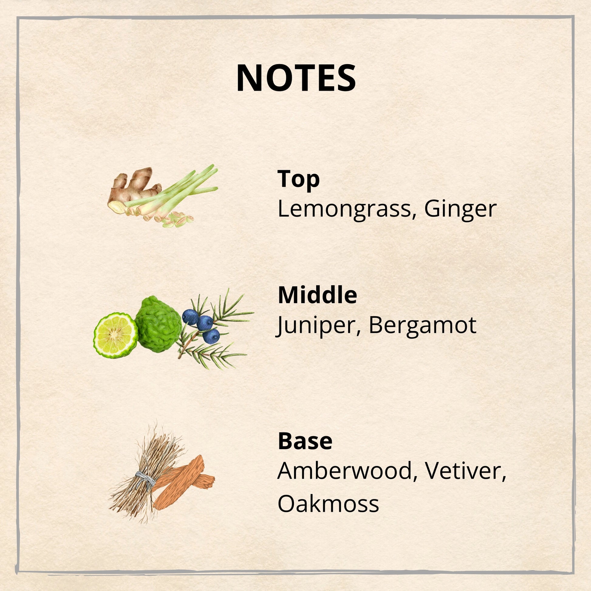 Thrill Reed Diffuser 30ml